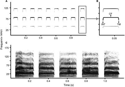 The Potential to Encode Detailed Information About Parasites in the Acoustic Signals of Chinese Horseshoe Bats (Rhinolophus sinicus)